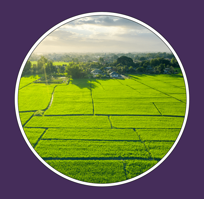 Residential Plots For Sale Near Nabha Sahib, Zirakpur Real Estate