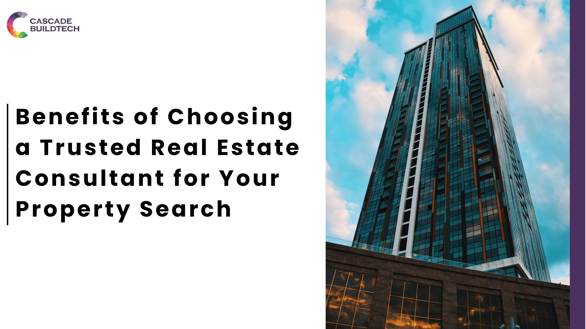 Real Estate Consultant