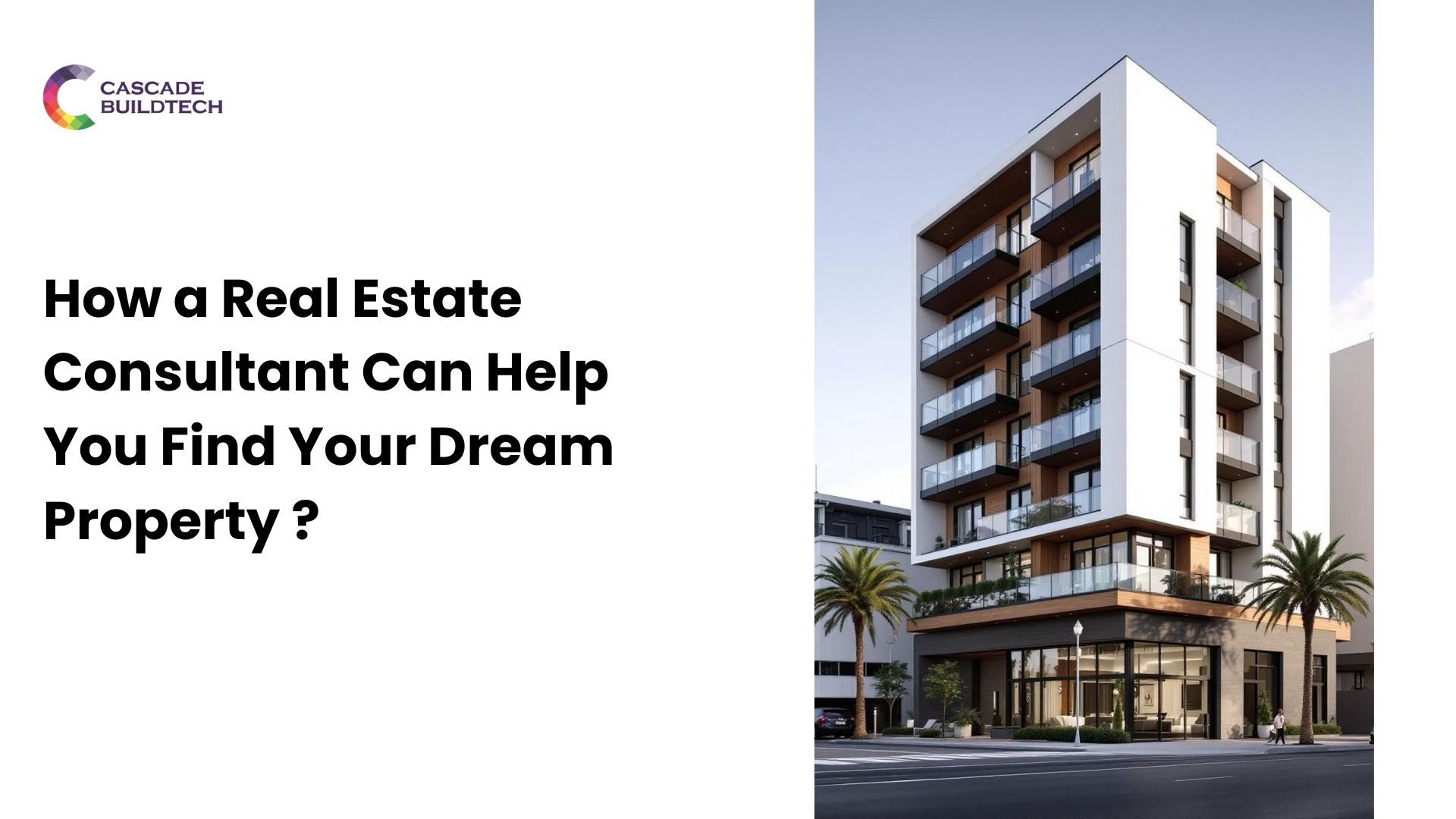 Real Estate Consultant